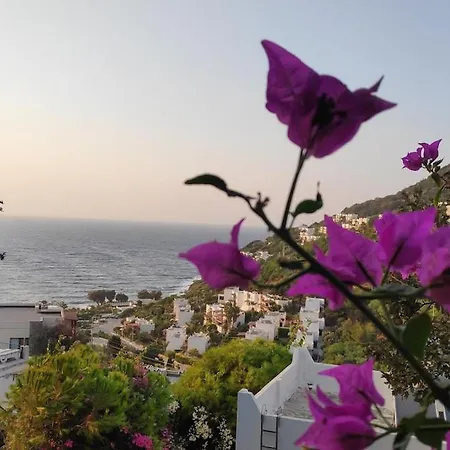 Private & With Sea View Villa